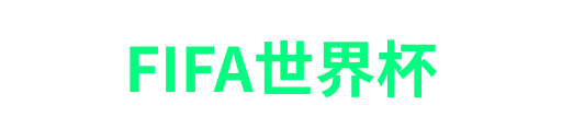 FIFA世界杯